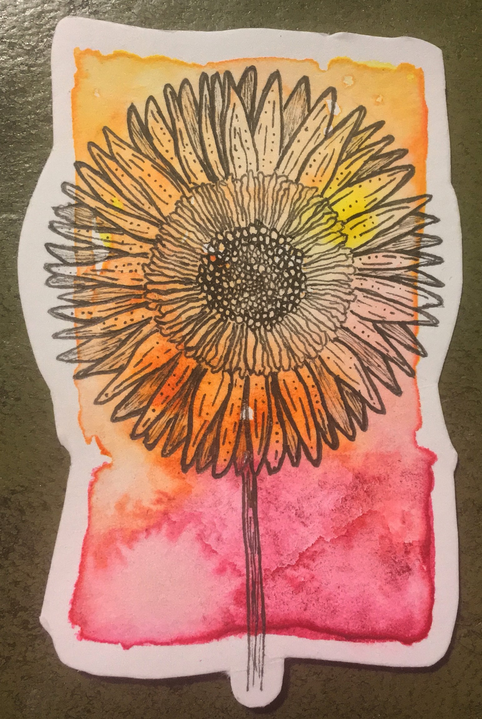 Fineline Aquarell Watercolor Gerbera Blume