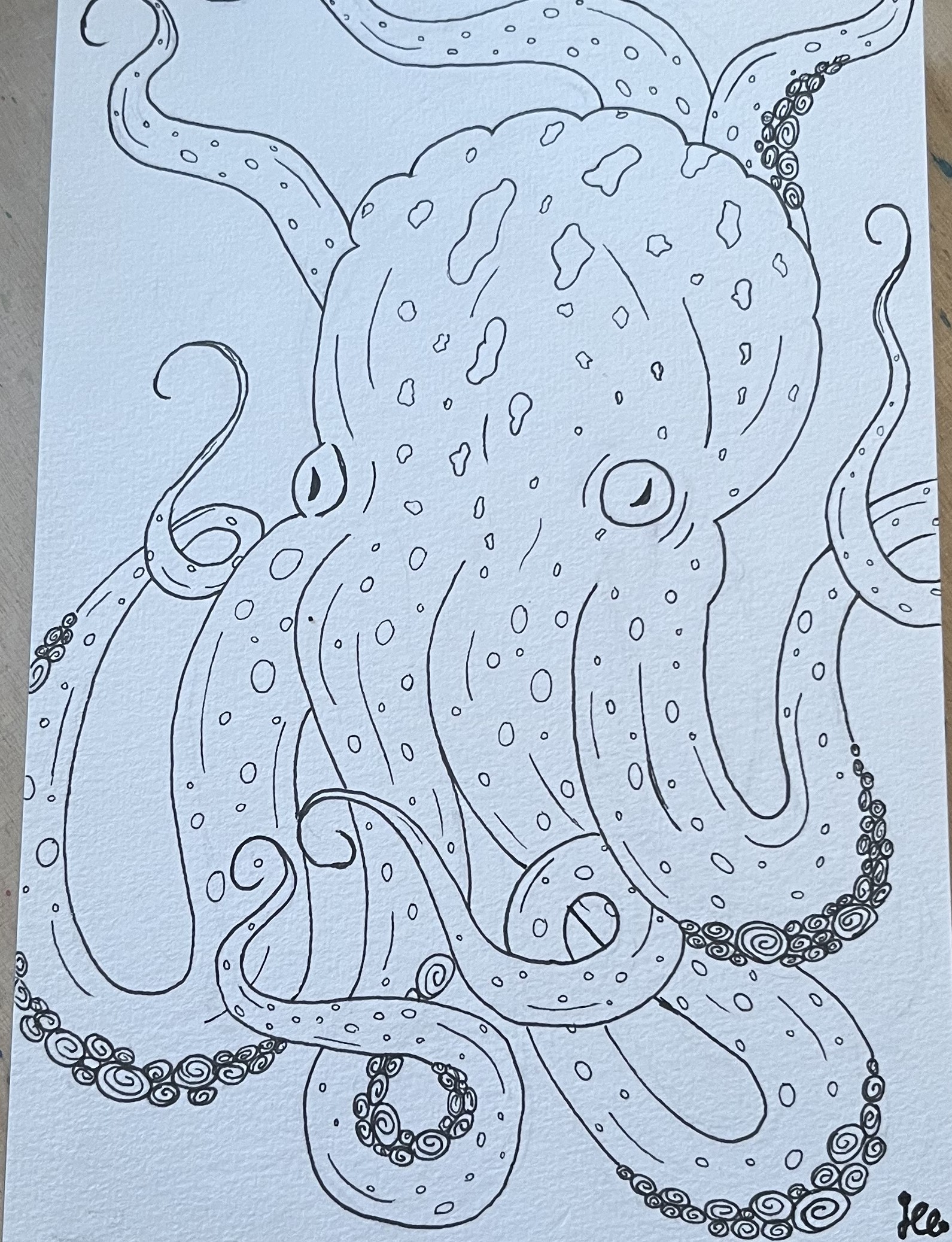 Fineline Kraken